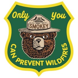 Large Green Shield Shaped Smokey Bear Only You Can Prevent Wildfires Sticker (Forestry Camp Hike Vinyl Decal Smoky Vinyl Decal for car Truck or Laptop (8 inch)