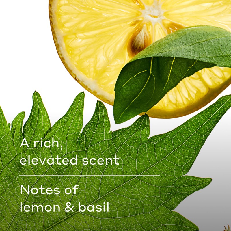 Harry's Men's Body Wash - Spring - (3 Pack) 18