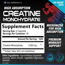Creatine Monohydrate Capsules – Strength, Lean Muscle Growth Support, Natural Energy, Workout Performance, Endurance Support – 750mg per High Absorption Capsule - Gluten Free, Vegetarian – 120 Count