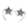 Silver Star Elton John Sunglasses Glasses Fancy Dress Accessory