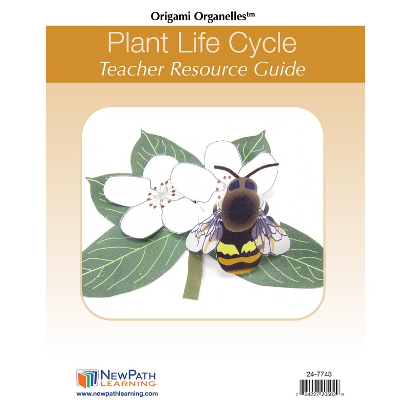 NewPath Plant Life Cycle 3-D Paper Model Making Kit, Set/5