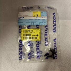 Volvo Genuine Volvo Flange Screw 30624573.  The Price Is For One.