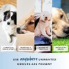PowAir Urine Stains and Odour - Permanently Eliminates Stains and