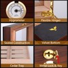 Bald Eagle Cedar Cigar Humidors with Hygrometer, Handcrafted Cigar Box