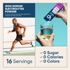 Venture Pal High Sodium Sugar-Free Electrolyte Powder Packets - Hydration