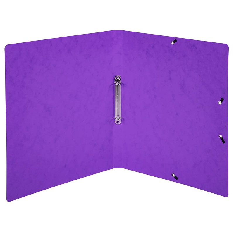Exacompta - ref. 542558E - 1 Printed glossy card binder