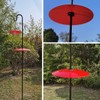 13" Glass Rain Guard for Bird Feeder Outdoors - Baffle
