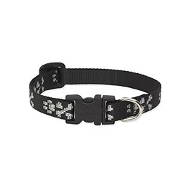 LupinePet Originals 1/2" Bling Bonz 10-16" Adjustable Collar for Small Dogs