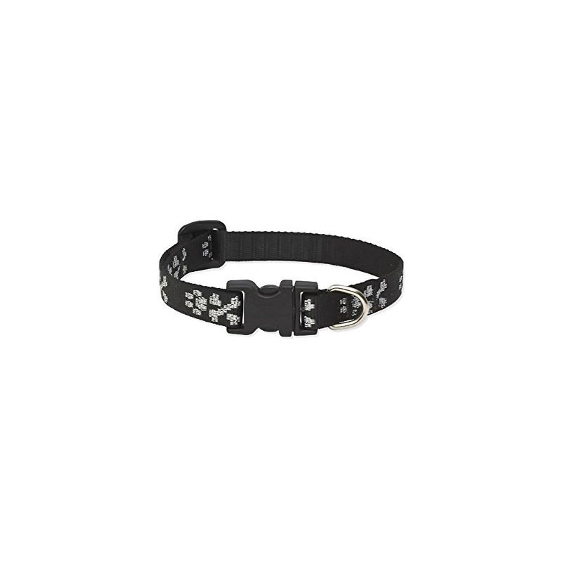 LupinePet Originals 1/2" Bling Bonz 10-16" Adjustable Collar for Small