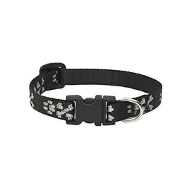 LupinePet Originals 1/2" Bling Bonz 10-16" Adjustable Collar for Small Dogs