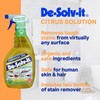 Orange-Sol De-Solv-It Citrus Solution - Odor & Stain Remover (2-Pack,