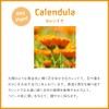 WELEDA Calendra Baby Facial Cream, 1.7 fl oz (50 ml),