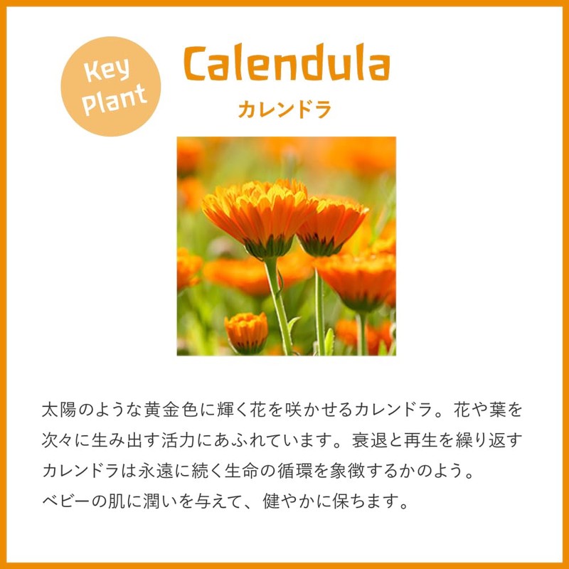 WELEDA Calendra Baby Facial Cream, 1.7 fl oz (50 ml),