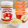 10oz Freeze Dried Diced Apples Pieces- Crispy Apple Slices, No