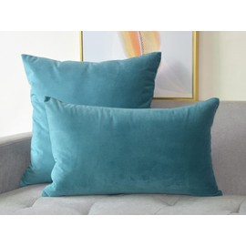 Lutanky Velvet Cushion Covers (Pack of 2) Lovely Rectangle Throw Pillow Cases Soft Solid Decorative Pillow Covers for Sofa Bedroom Car 12x20 Inch 30 x 50 cm(gray-blue, 2 pieces)
