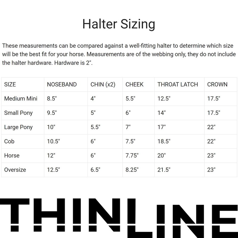 Thinline Turnout Halter for Use with Grazing Muzzle | Horse