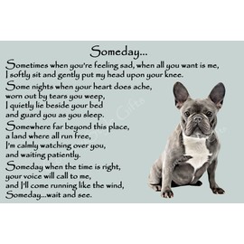 French Bulldog Frenchie Memorial dog pet loss Flexible Fridge Magnet - Someday