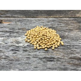 Hale Habitat & Seed Glyphosate Tolerant Forage Soybean Food Plot Seed, 10 lbs