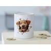 GRAZDesign Funny Money Box Dog - Wall Crack - Money