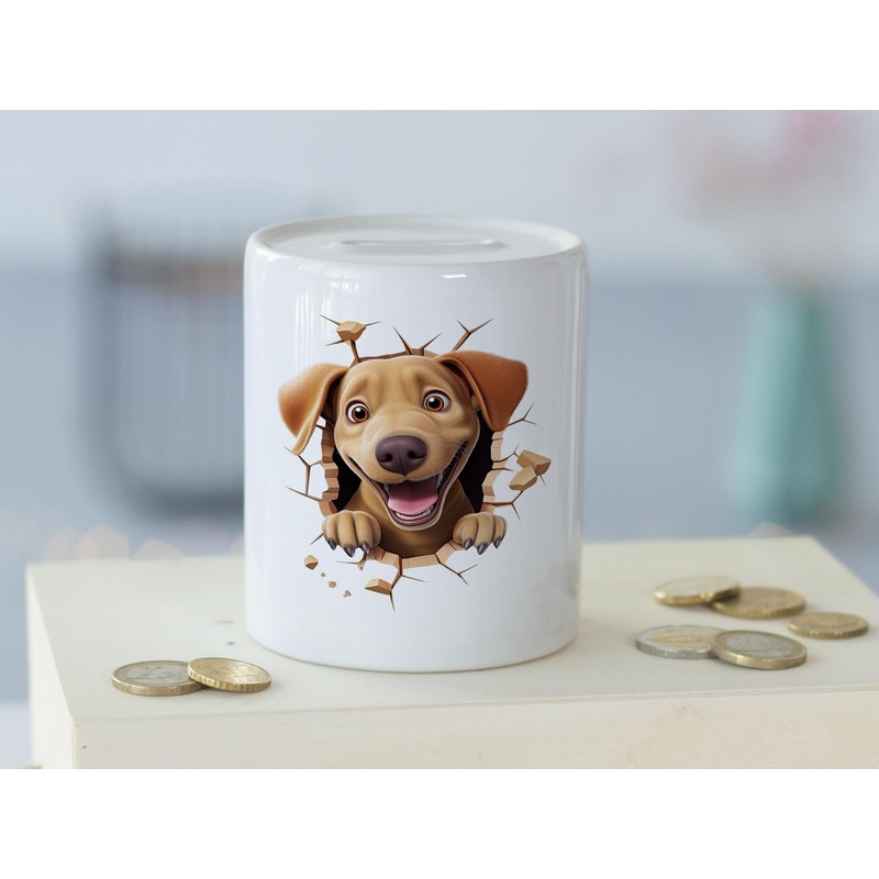 GRAZDesign Funny Money Box Dog - Wall Crack - Money