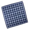 DsHome Men's Handkerchief, Cotton, Businessman Handkerchief, 17.9 x 16.9 inches