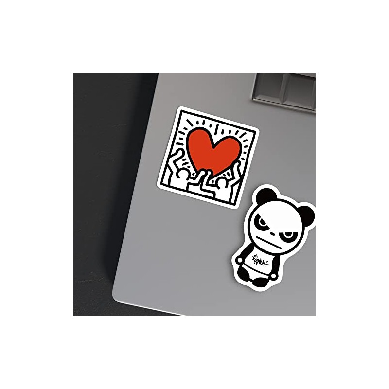 100 Stickers y pegatinas SKATE con diseños Únicos para Electrónicos,