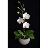 Handmade Orchid Pot (Phalaenopsis) | White Orchids with Yellow Pistils