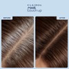 Clairol Temporary Root Touch-Up Concealing Powder