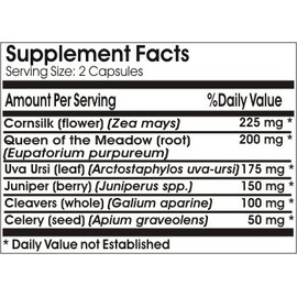 Kidney Max Support ~ 180 Capsules - No Additives ~ Naturetition Supplements