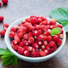 KIRA SEEDS - Seeds Alpine Strawberry Alexandria - Everbearing Fruits for Planting - GMO Free