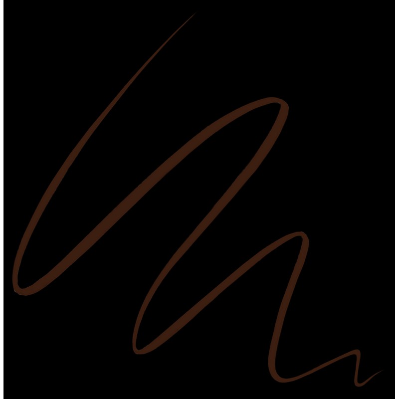 PROEIGHT Liquid Define Liner 2.5ml - 02 Dark Brown