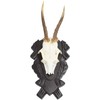Horns Board Roe Roe Buck Made of Oak Wood with