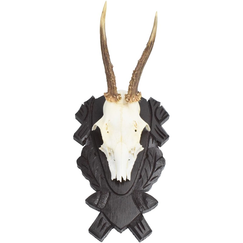 Horns Board Roe Roe Buck Made of Oak Wood with