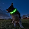 Hundehalsband Leuchtend Aufladbar, Leuchthalsband Hund 7 RGB Farbwechsel mit 8