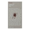 Love Tea Rooibos Loose Leaf Tea, 100g