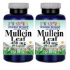 Vitamins Because Mullein Leaf 1000mg 2X200 Caps Flavonoids