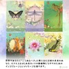 Love Who You Are Oracle Oracle Card FLATLAND Genuine Product