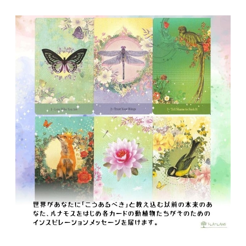 Love Who You Are Oracle Oracle Card FLATLAND Genuine Product