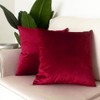 Artcest Set of 2, Cozy Solid Velvet Throw Pillow Case,