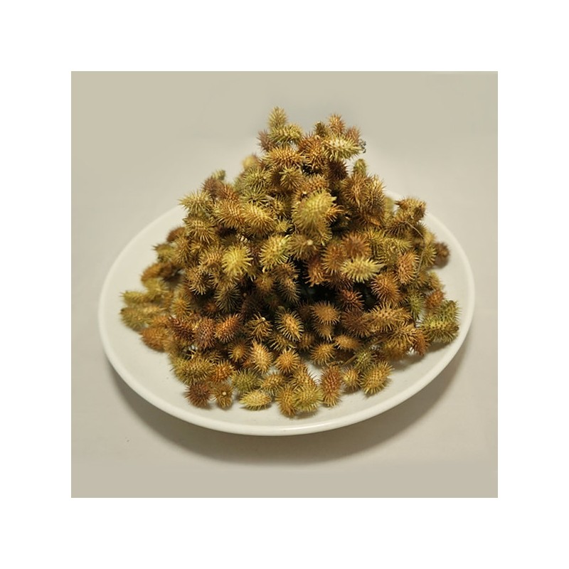 Chamdoori Changja 300g (domestic) Dokkomari / 참두리 창이자 300g (국내산)