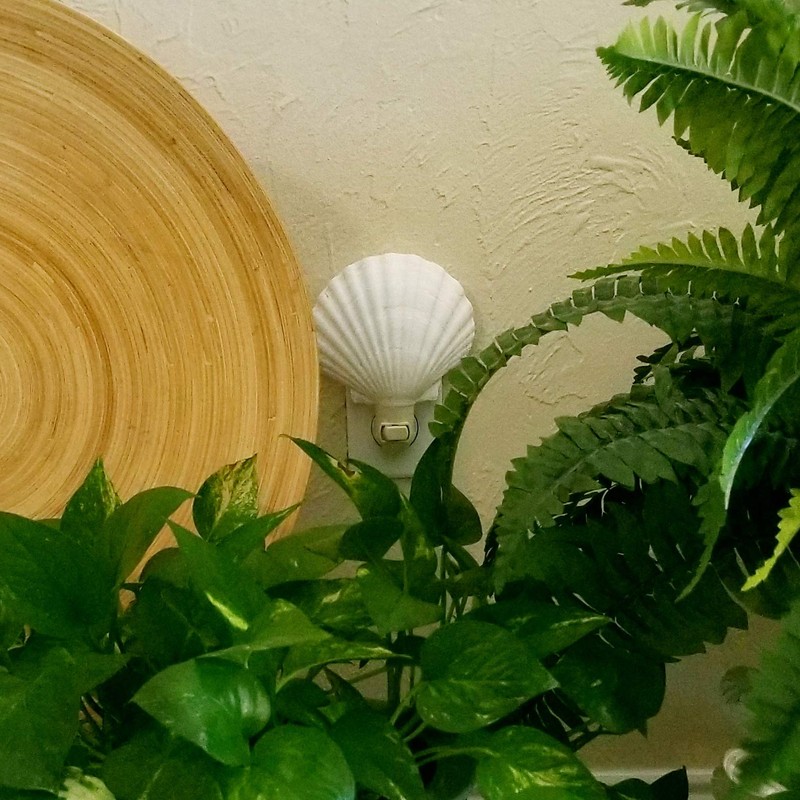 Tumbler Home Real Sea Shell Beach Night Light Real, Natural,