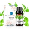 Petitgrain Essential Oil 100% Pure Oganic Plant Natrual Petitgrain Oil