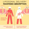 WELL ACTUALLY Liposomal Vitamin C 1000mg - High Bioavailability Powerful