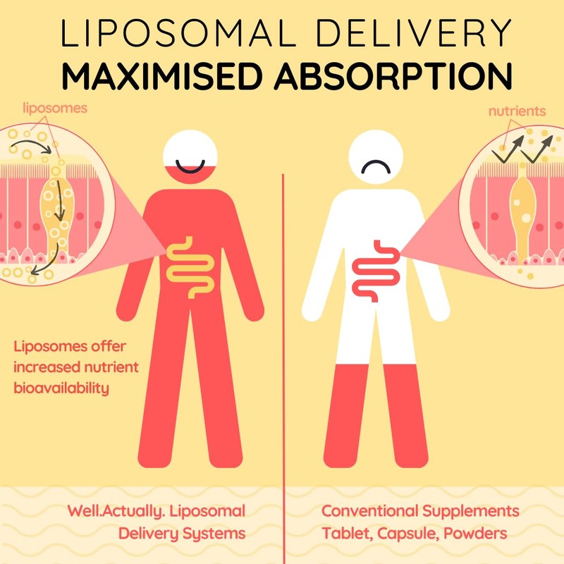 WELL ACTUALLY Liposomal Vitamin C 1000mg - High Bioavailability Powerful