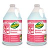 OdoBan Professional Cleaning and Odor Control Solutions, Ready-to-Use Biostain and