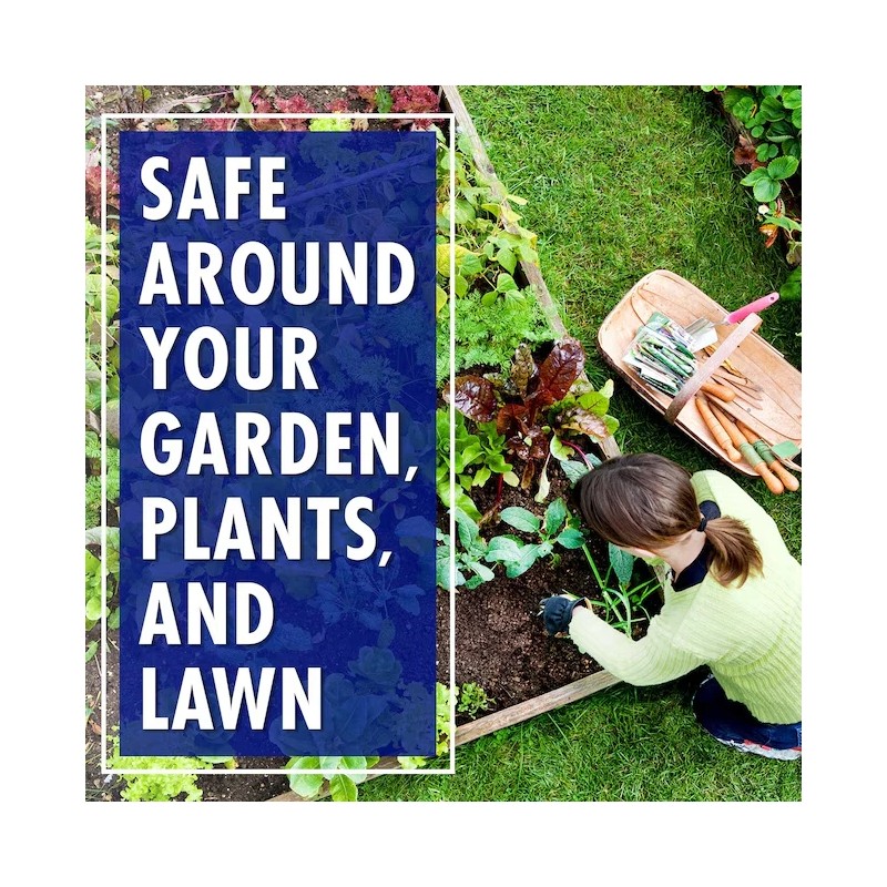 Unbranded 30 SECONDS 1-gallon Mold and mildew stain remover Concentrated