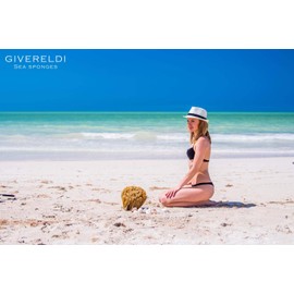 Givereldi Power Exfoliator Natural Sea Sponge | Strong and Durable Unbleached Adult Pouf and Scrub with Rope | 100% Natural, Organic & Hypoallergenic | Bath & Shower Body Exfoliating, Art and Pets