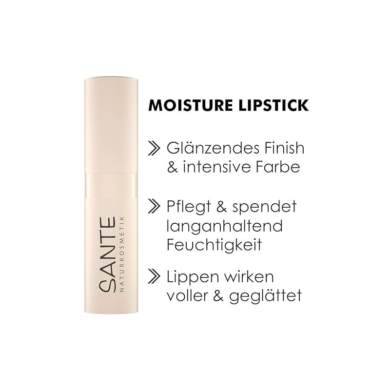 Moisture Lipstick 04