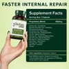 Dimmak Herbs Blood Purifier & Lymphatic Cleanse- Systemic Detox Supplement