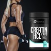 Dynamics Nutrition – Creatine HCL – 3000 120 Capsules Muscle